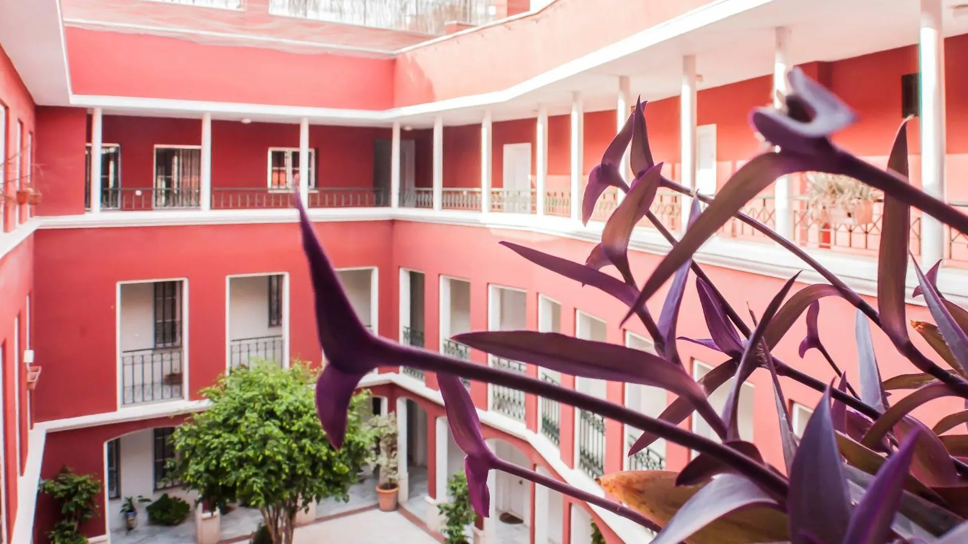 Apartment Conde Ibarra Suite Seville